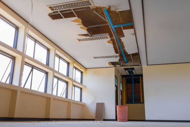 Best Fire Damage Restoration  in Washington, UT