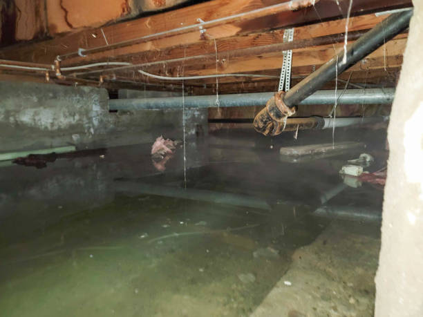 Best Local water damage restoration  in Washington, UT