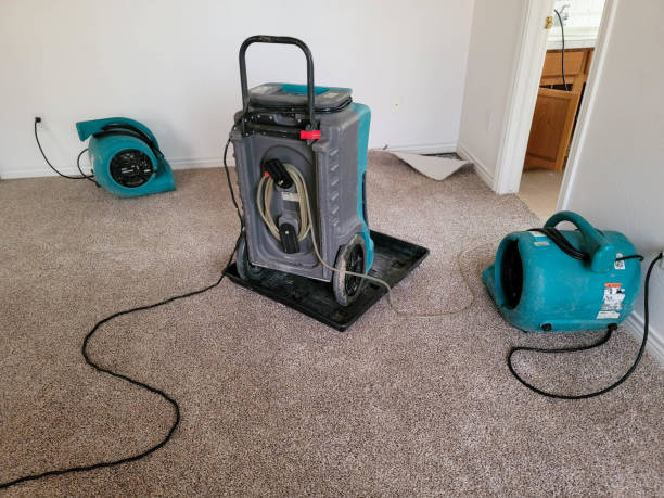 Best Commercial water damage restoration  in Washington, UT