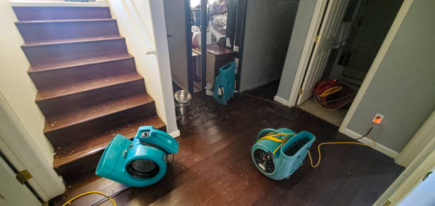 Best Water damage restoration near me  in Washington, UT