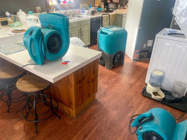 Best Water damage mitigation services  in Washington, UT