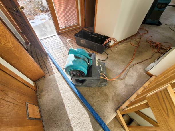 Best Water damage restoration services  in Washington, UT