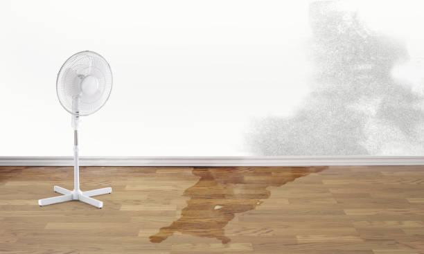 Best Emergency water damage restoration  in Washington, UT