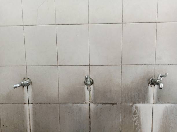 Best Flood restoration services  in Washington, UT