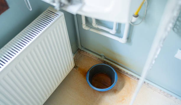 Best Flood damage cleanup  in Washington, UT