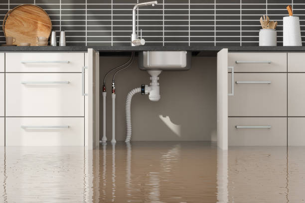 Best Water damage restoration near me  in Washington, UT