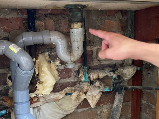 Best Carpet water damage restoration  in Washington, UT