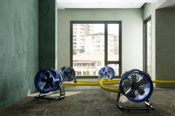 Best Basement water damage restoration  in Washington, UT
